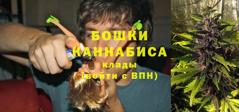 Каннабис SATIVA & INDICA  Балтийск 